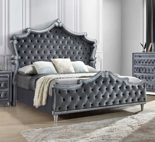 Antonella Upholstered Tufted Eastern King Bed Grey - Aras Mattress And Furniture(Las Vegas, NV)