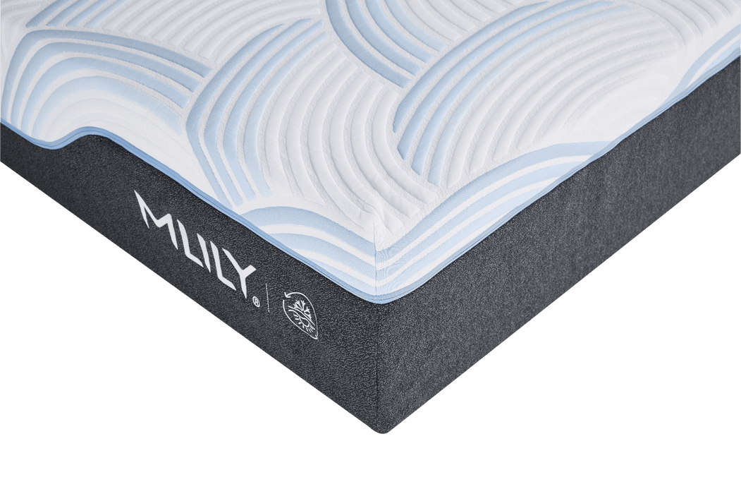 ChiroPro Tri-Zoned Hybrid Mattress Mlily - Aras Mattress And Furniture(Las Vegas, NV)