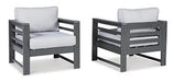 Amora Outdoor Lounge Chair with Cushion (Set of 2) - Aras Mattress And Furniture(Las Vegas, NV)