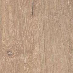 Cielden Chest of Drawers - Aras Mattress And Furniture(Las Vegas, NV)