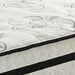 Socalle Bed and Mattress Set - Aras Mattress And Furniture(Las Vegas, NV)